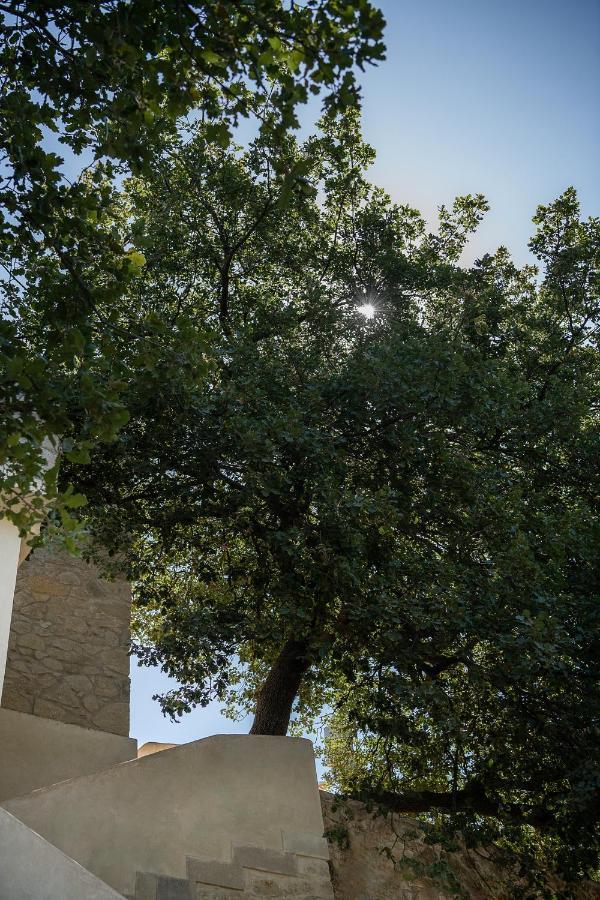Velanis Ηouse, Style Into Nature - Secluded Kíssamos Exterior foto